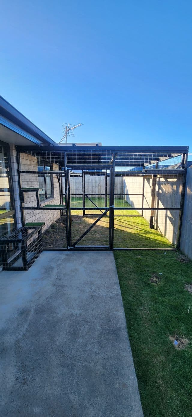 Black-framed catio with a walk-in gate off a concrete patio