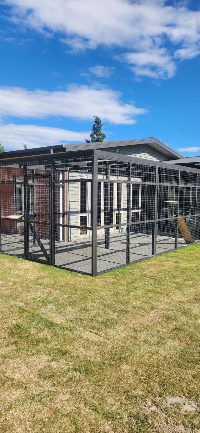 Dark-framed catio with a paved floor running along a house