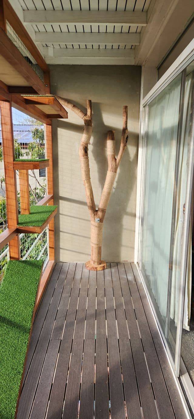 Natural branch climbing tree with rope wrapping on a decked catio