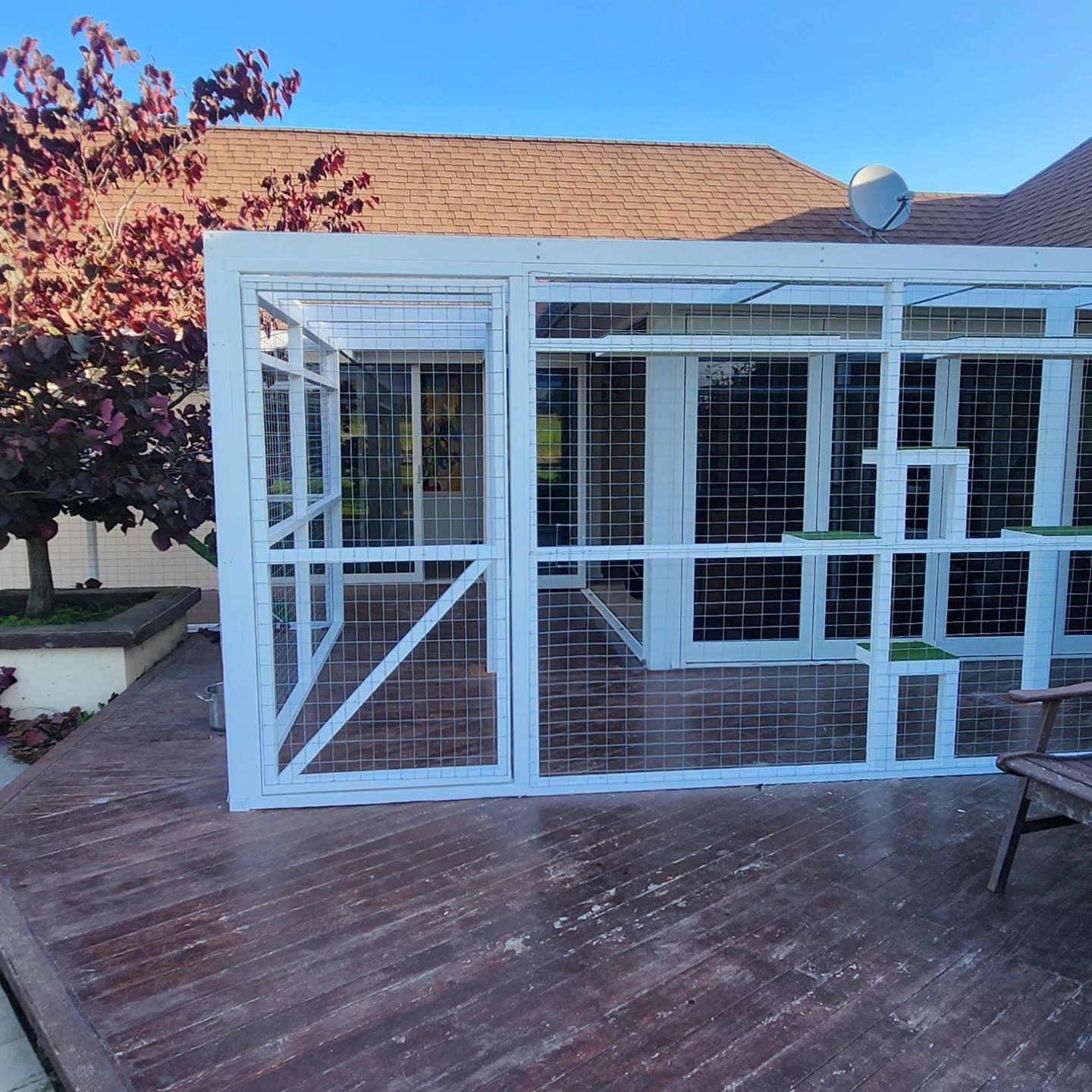 Completed catio build