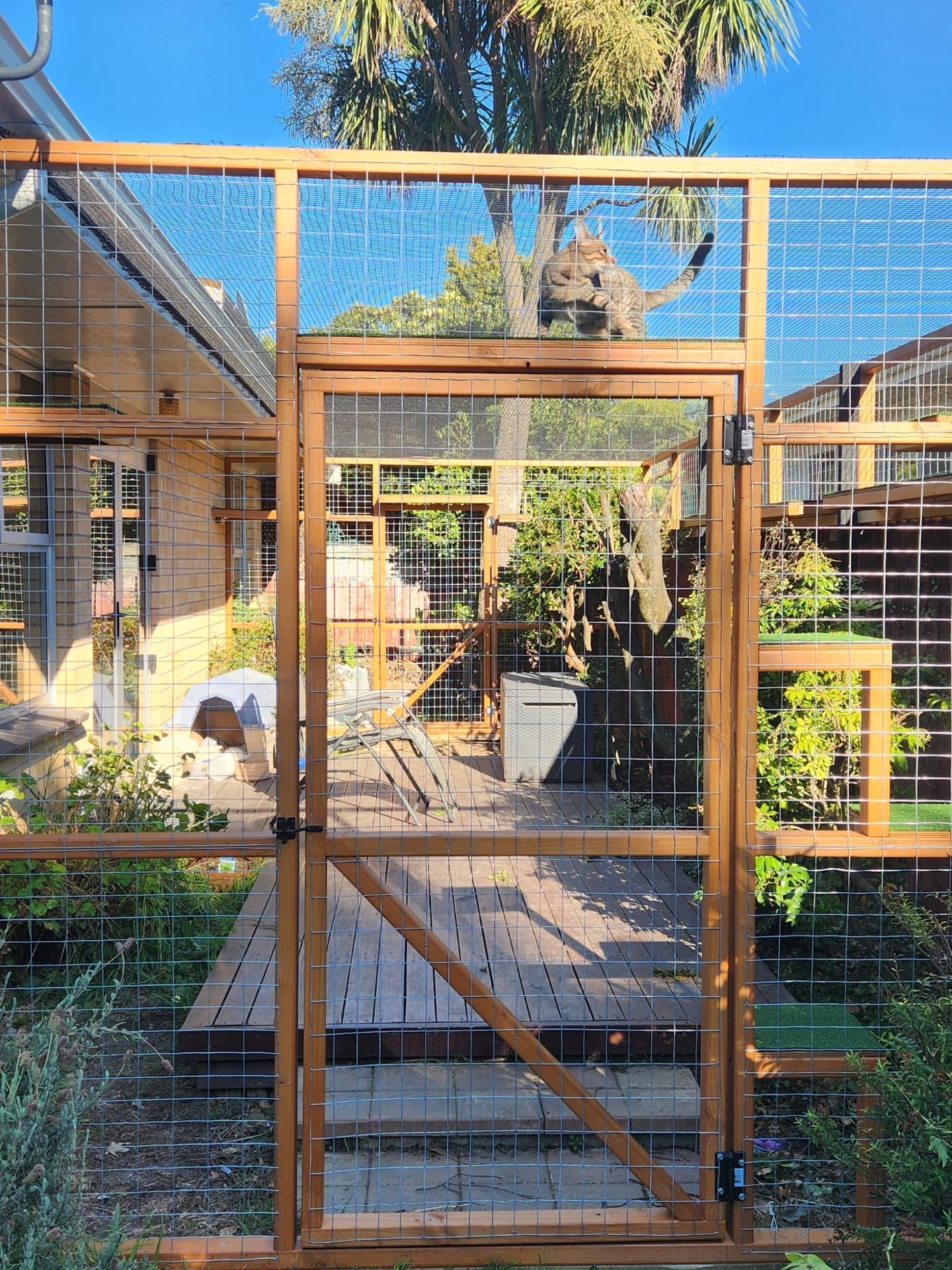 Catio with a secure gate entry