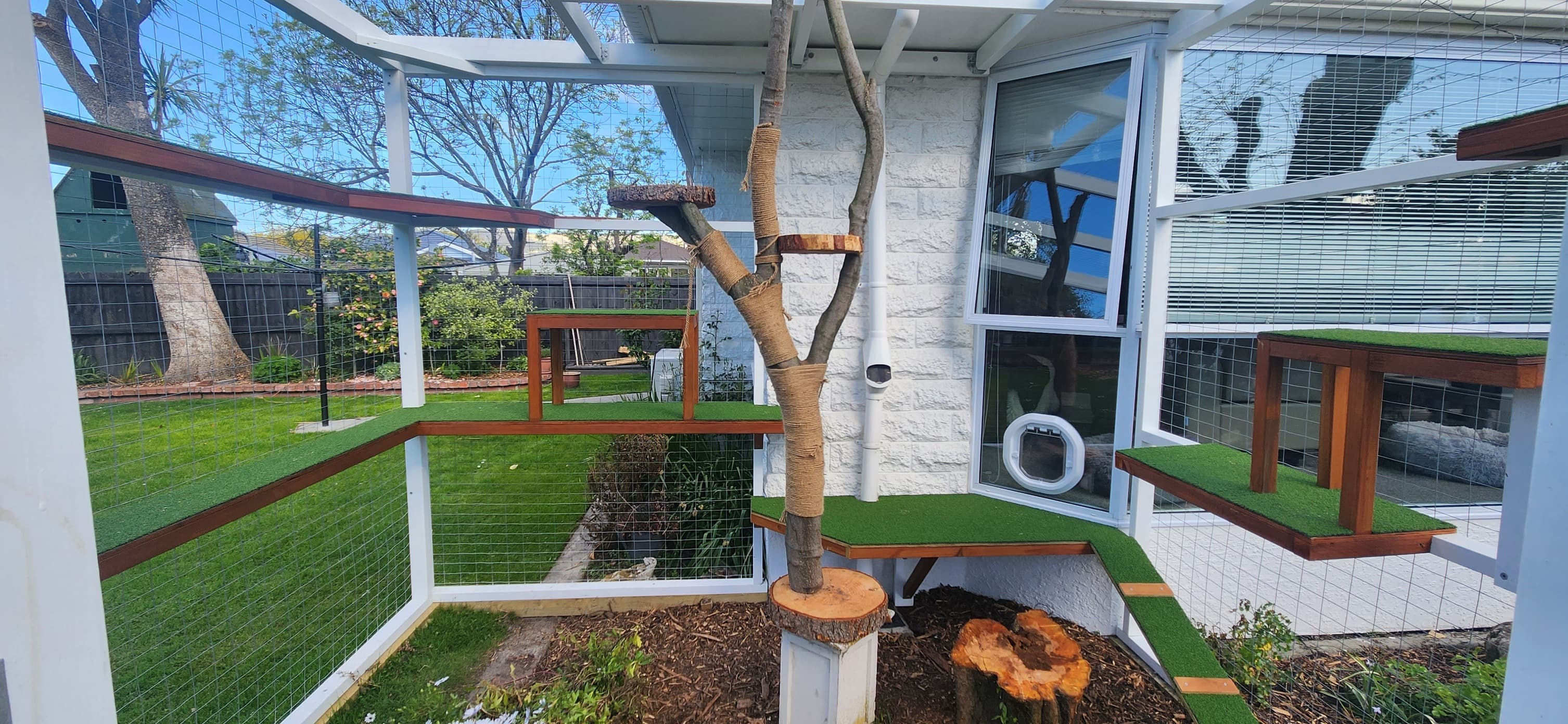 Catio interior featuring a natural climbing tree and platforms