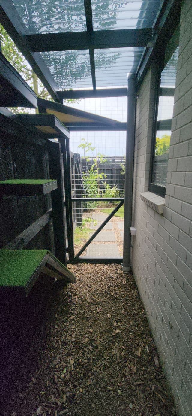 Narrow covered side run with clear roofing, turf shelves and a gate
