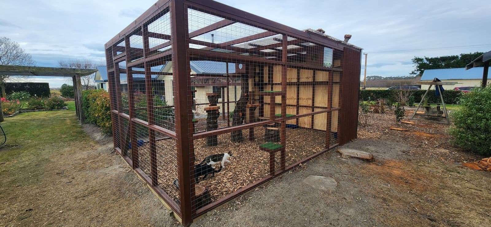 Large walk-in catio in a rural garden with a sheltered plywood back wall