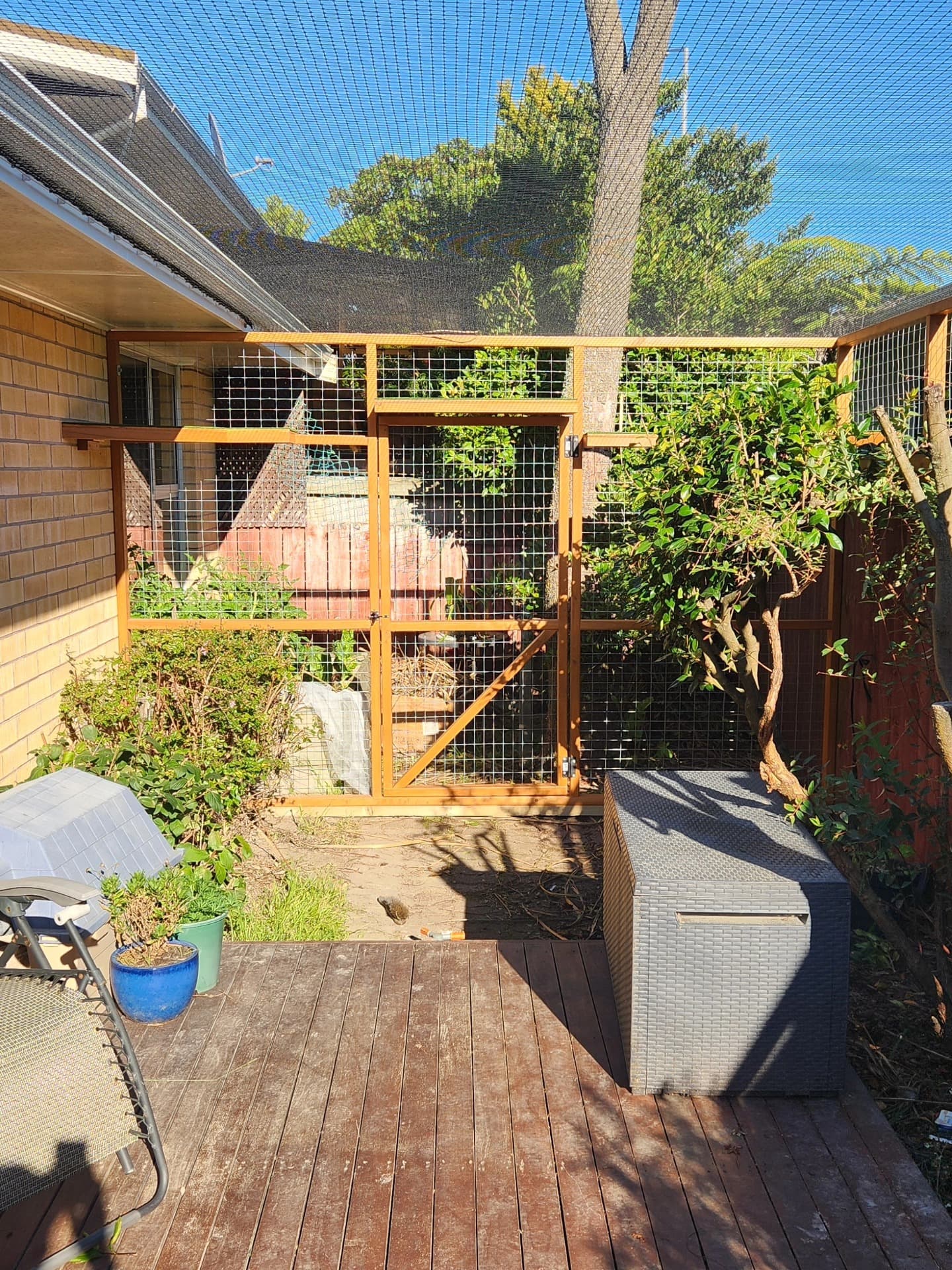 Custom timber catio attached to the side of a house