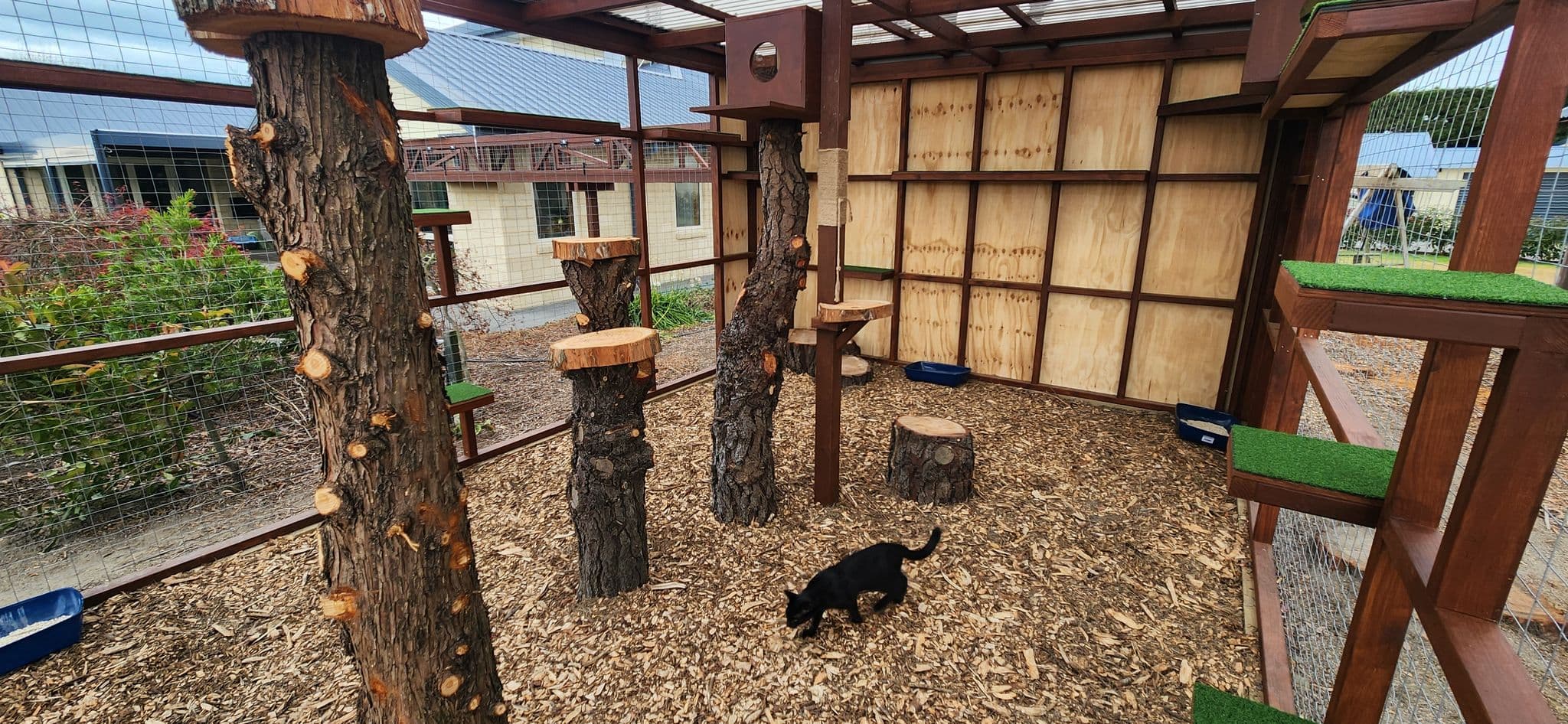 Catio interior with standing tree trunks, cut stumps and a bark chip floor
